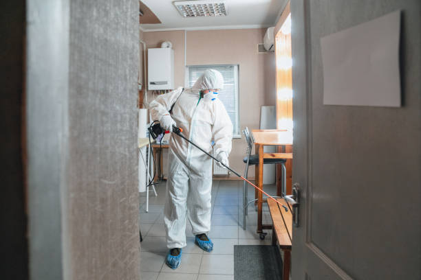 Best Mold Remediation for Rental Properties  in Emerald Bay, TX