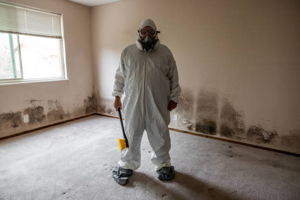 Best Residential Mold Inspection & Testing  in Emerald Bay, TX